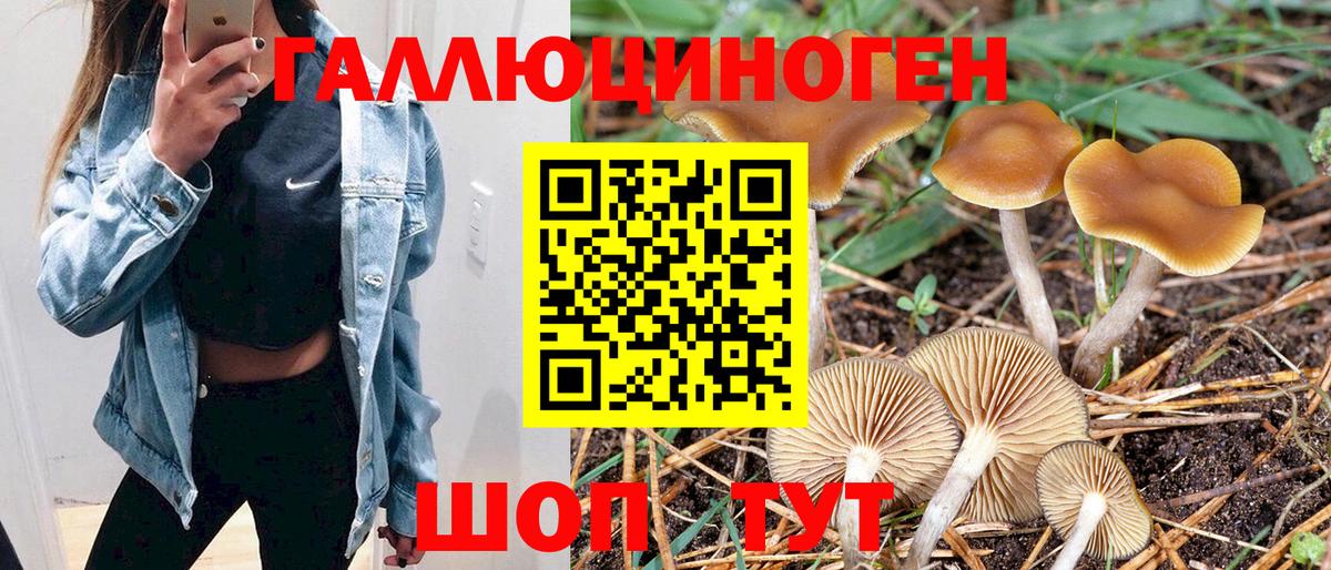 Нижнекамск  Псилоцибиновые грибы Psilocybe  Вход с VPN 